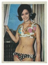 ZAMBO Sakızı Kartları No 55 # SKZ1636 - Gökçekoleksiyon