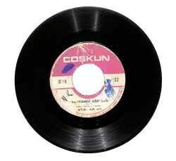 Şükran Ay - Aldılar Seni Elimden / Kahverengi Gözlerin PLAK (10/7) PLK24717 - Gökçekoleksiyon