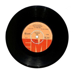 Ercan Yenal - Ayrılıyoruz / Unutamıyorum PLAK (10/7) PLK23937 - Gökçekoleksiyon