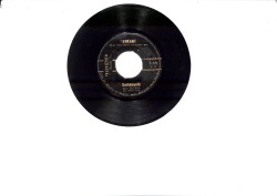 Berkant - Samanyolu / Özledim Seni PLAK (10/7) PLK25915 - Gökçekoleksiyon