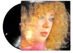 Zerrin Özer – Gelecekmisin? LP PLAK (10/8.5) (VG++) PLK26469 - 2