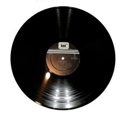 Zerrin Özer – Gelecekmisin? LP PLAK (10/8.5) (VG++) PLK26469 - 3