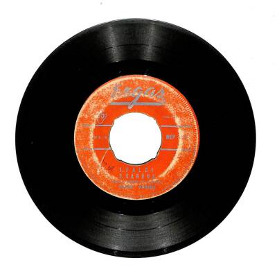 Zühre Varışlı - Meyhanenin GülüFalcı (106.5) PLK16410 - 2